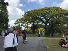 -新加坡总统府