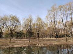 -东坝千亩湖公园