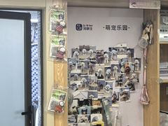 -宠颐生宠物医院·异宠猫科内科·诊疗中心宠巢店