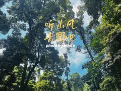 -凤栖山