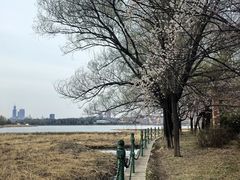 -长春市南湖公园