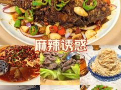 -天辣(金桥啦啦宝都店)