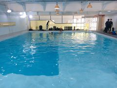 -上海潜殿潜水中心