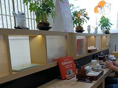 -长风拨筋养身(金虹桥店)