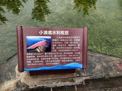 -黄河小浪底水利枢纽风景区