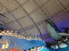 -烟台海昌鲸鲨海洋公园