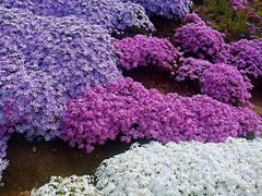-昆嵛山石门里景区