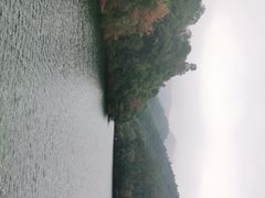 -江西阳明山国家森林公园