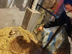 -酷嗒动物文化乐园(cutezoo西溪乐天城店)