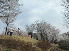 -堤角公园