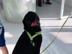 -北京恒爱动物医院(清景园分院)