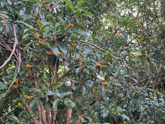 -杭州城北体育公园