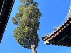 -恭王府博物馆