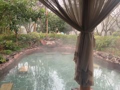 -苏州湾·王焰温泉