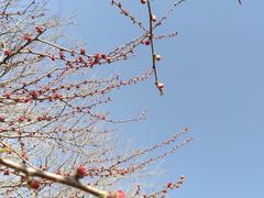 -北京奥林匹克公园