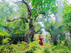 -Chom Cafe and Restaurant