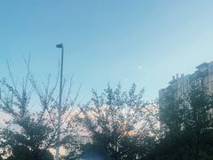 -德四家·云南傣味烧烤品牌(和谐店)