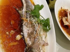 -骏莱海鲜鱼港(五角场店)