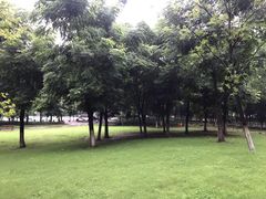 -后襄河公园