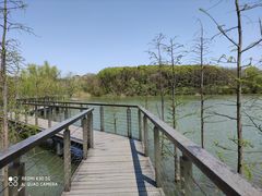 -昆山城市生态森林公园