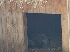 -佛冈森波拉度假区