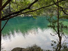 -石台牯牛降景区