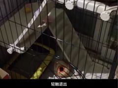 -1013 PET SHOP 宠物商店(近铁城市广场店)