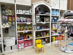 -米苏动物医院·犬猫专科·骨科外科内窥镜