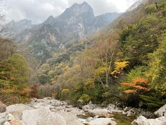 -青峰峡国家森林公园