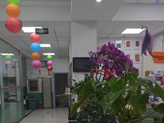 -利又安动物医院··老年病·猫科犬科·中兽医