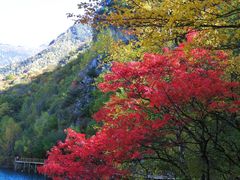 -叠溪松坪沟景区