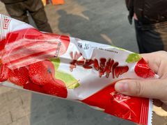 红果冰棍-康乐(滨江道店)