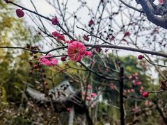 -径山寺