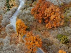-鸡枕山