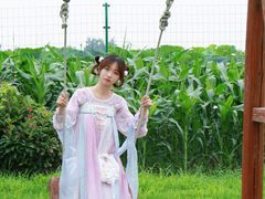 -荷花荡