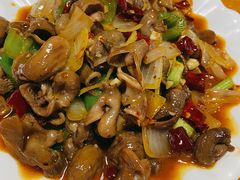 麻辣鱼肚-温州一家人美食(西木头市店)