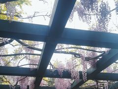 -北京市劳动人民文化宫(太庙)