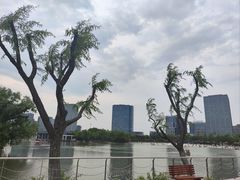 -大宁公园