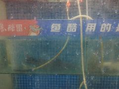 -鱼酷活鱼烤鱼(信息城店)