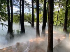 -东湖落雁景区
