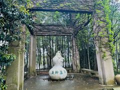 -鲁镇