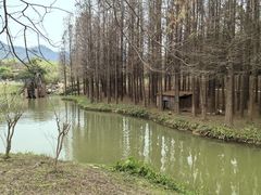 -佛冈森波拉度假区