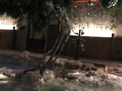 -中铁花水湾温泉酒店(大邑店)