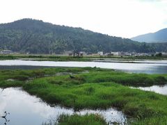 -腾冲北海湿地