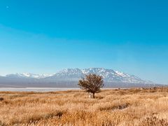 -盐湖景区