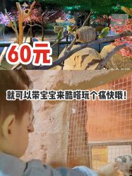 -酷嗒动物文化乐园(cutezoo西溪乐天城店)