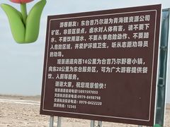 -东台吉乃尔湖