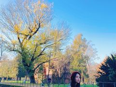-斯福尔扎古堡