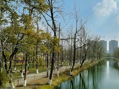 -洋湖国家湿地公园