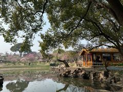 -无锡梅园公园